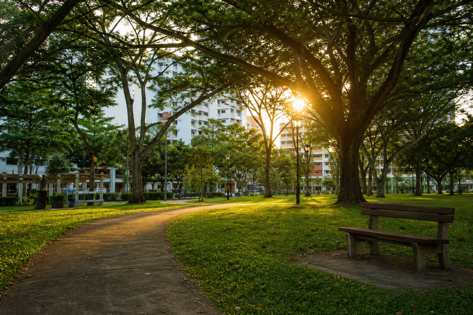 Park path and wooden bench at golden hour with trees and distant blocks